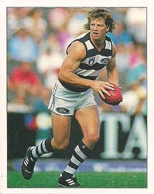 1994 Select AFL Stickers #142 Garry Hocking Front